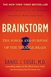 Algopix Similar Product 3 - Brainstorm The Power and Purpose of