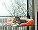 Algopix Similar Product 9 - Kitty Cot Original Worlds Best Cat
