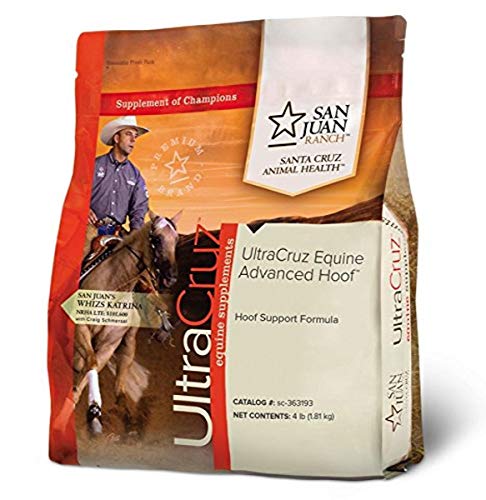 Algopix Similar Product 1 - UltraCruz  sc363193 Equine Advanced