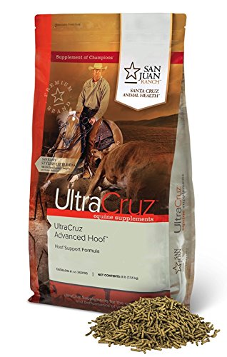 Algopix Similar Product 2 - UltraCruz  sc363195 Equine Advanced