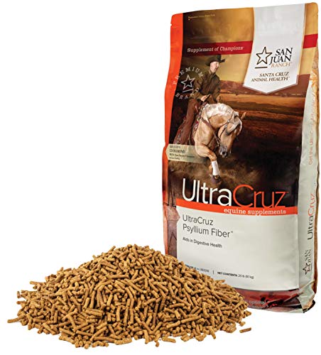 Algopix Similar Product 20 - UltraCruz Equine Psyllium Fiber