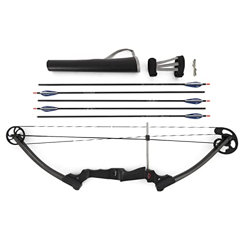 Algopix Similar Product 2 - Genesis Original Bow Archery SetRight