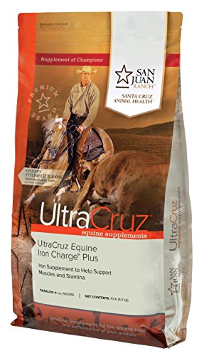 Algopix Similar Product 11 - UltraCruz Equine Iron Charge Plus