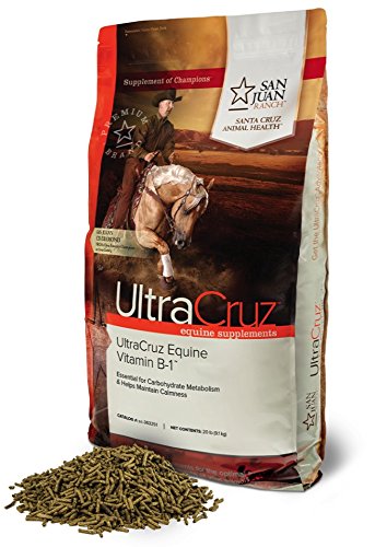 Algopix Similar Product 15 - UltraCruz Equine Vitamin B1 Supplement