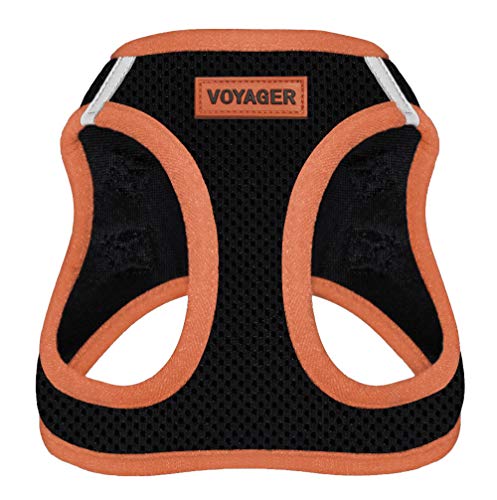 Algopix Similar Product 5 - Voyager StepIn Air Dog Harness  All
