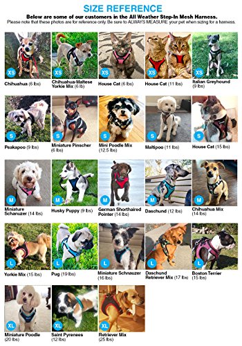 Algopix Similar Product 3 - Voyager StepIn Air Dog Harness  All