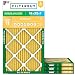Algopix Similar Product 19 - Filterbuy 16x25x1 Air Filter MERV 11