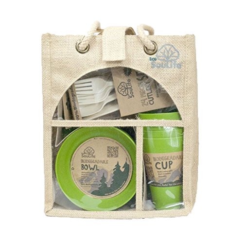 Algopix Similar Product 8 - EcoSouLife Bamboo  Picnic Set for 4