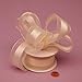 Algopix Similar Product 12 - Ivory Sheer Ribbon with Satin Stripe