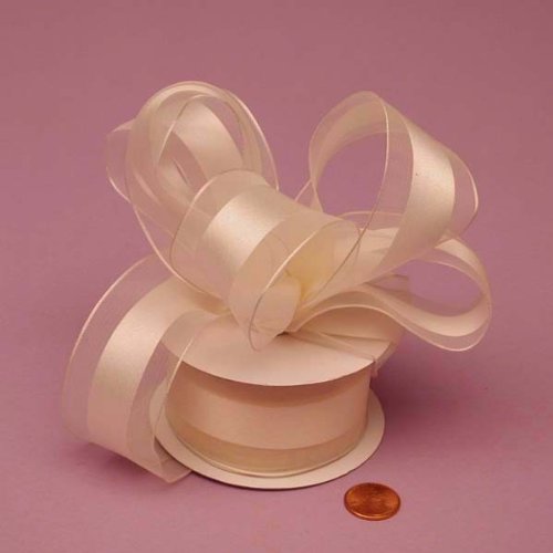 Algopix Similar Product 17 - Ivory Sheer Ribbon with Satin Stripe