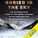 Algopix Similar Product 6 - Buried in the Sky The Extraordinary