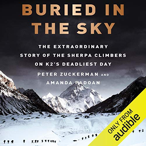 Algopix Similar Product 18 - Buried in the Sky The Extraordinary