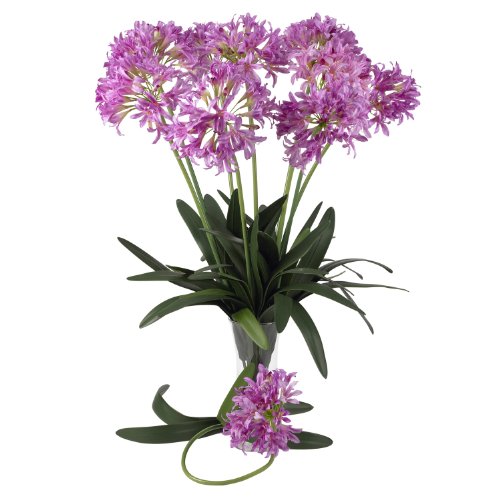 Algopix Similar Product 18 - Pik 29 Ih Afia Liy Sem (Se of 12)