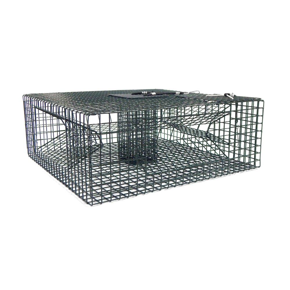 Algopix Similar Product 2 - Beau Mac Shrimp Trap: 24X24X10 4 Door