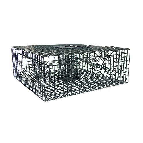 Algopix Similar Product 3 - Beau Mac Shrimp Trap: 24X24X10 4 Door