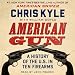 Algopix Similar Product 18 - American Gun A History of the US in