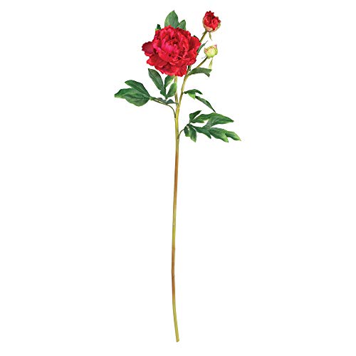 Algopix Similar Product 11 - Nearly Natural 385 Peony with Leaves