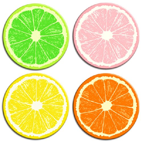 Algopix Similar Product 7 - Fruit Slice Magnets