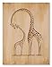 Algopix Similar Product 2 - Oopsy daisy Fine Art for Kids Safari