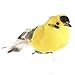 Algopix Similar Product 2 - Package of Bright Yellow and Black