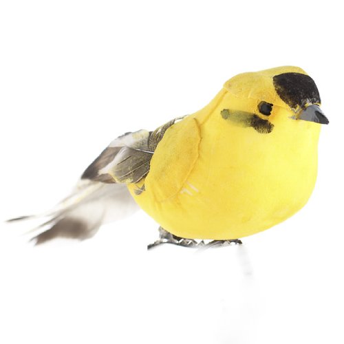 Algopix Similar Product 8 - Package of Bright Yellow and Black