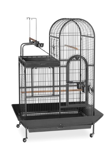 Algopix Similar Product 15 - Prevue Pet Products BPV3159 Double Roof