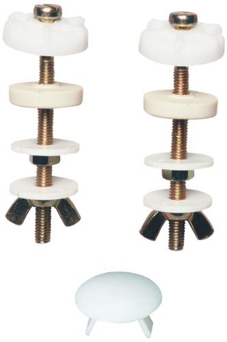 Algopix Similar Product 17 - Wirquin 19021009 M21 Screws for Toilet