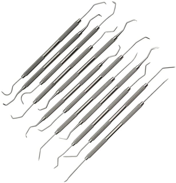 Algopix Similar Product 6 - Dental Pick Set 12 Pc Assorted