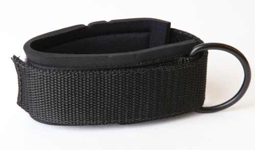 Algopix Similar Product 6 - Stroops 2" Wide Padded Wrist/Ankle Strap