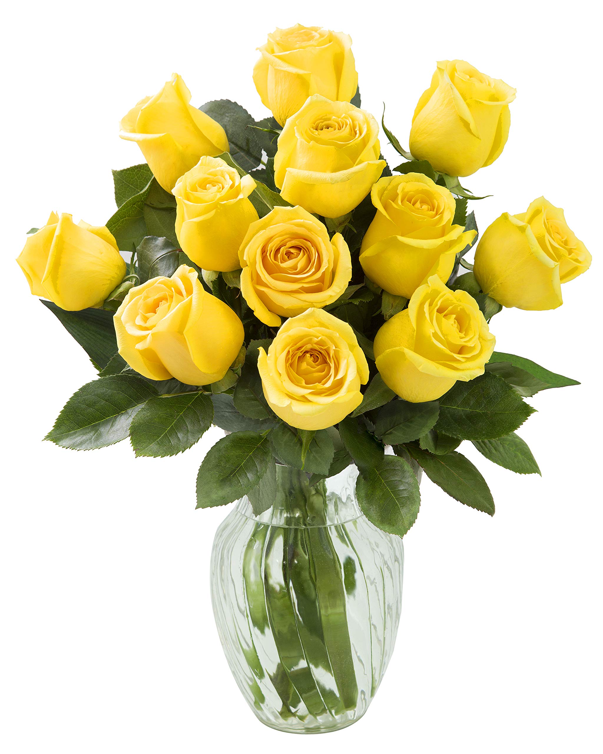 Algopix Similar Product 6 - KaBloom Flowers  Mothers Day