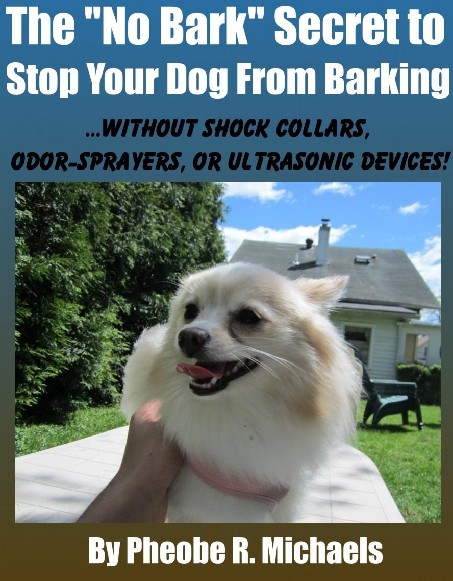 Algopix Similar Product 8 - No Bark Secret to Stop Your Dog From