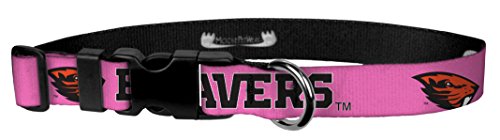 Algopix Similar Product 15 - Moose Pet Wear Dog Collar  Oregon