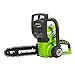 Algopix Similar Product 5 - Greenworks Tools 30cm 12 40V