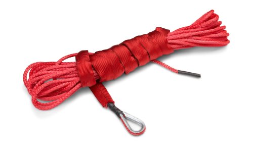 Algopix Similar Product 3 - 50 Ft AmsteelBlue Synthetic ATVUTV