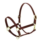 Algopix Similar Product 19 - Ovation Elite Stable Halter Oversize