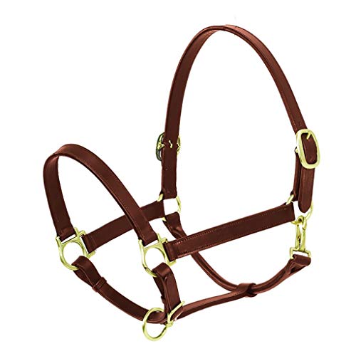Algopix Similar Product 11 - Ovation Elite Stable Halter Oversize