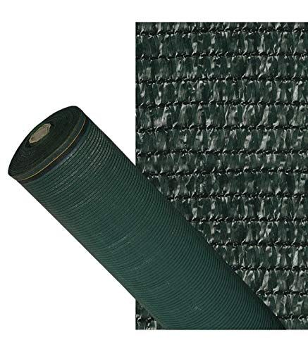 Algopix Similar Product 8 - Papillon  CanvasPremiums
