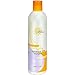 Algopix Similar Product 16 - Earth Science Shampoo  Fragrance