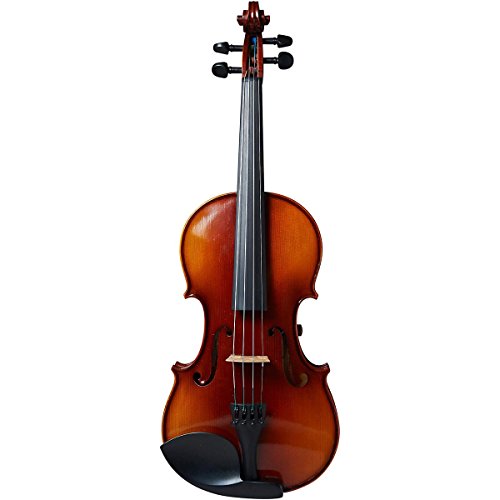 Algopix Similar Product 12 - Realist, 4-String Violin (RV4E)