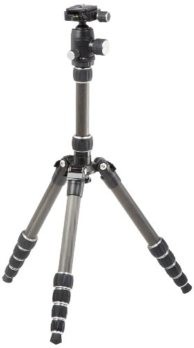 Algopix Similar Product 16 - AmazonBasics 52Inch Carbon Fiber