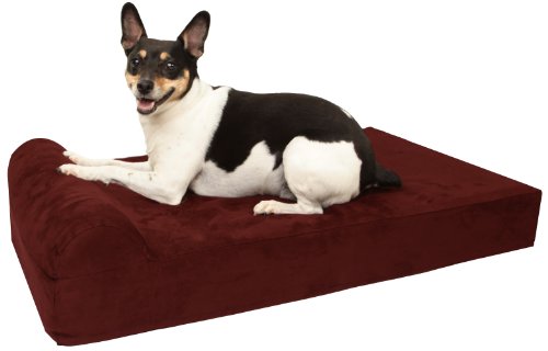 Algopix Similar Product 17 -