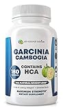 Algopix Similar Product 5 - All Natural Advice Garcinia Cambogia