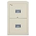 Algopix Similar Product 4 - Patriot Insulated 2Drawer Fire File