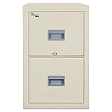 Algopix Similar Product 14 - Patriot Insulated 2Drawer Fire File
