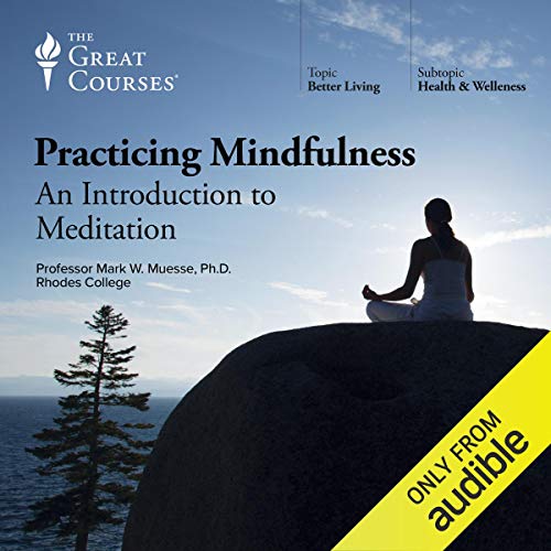Algopix Similar Product 19 - Practicing Mindfulness An Introduction