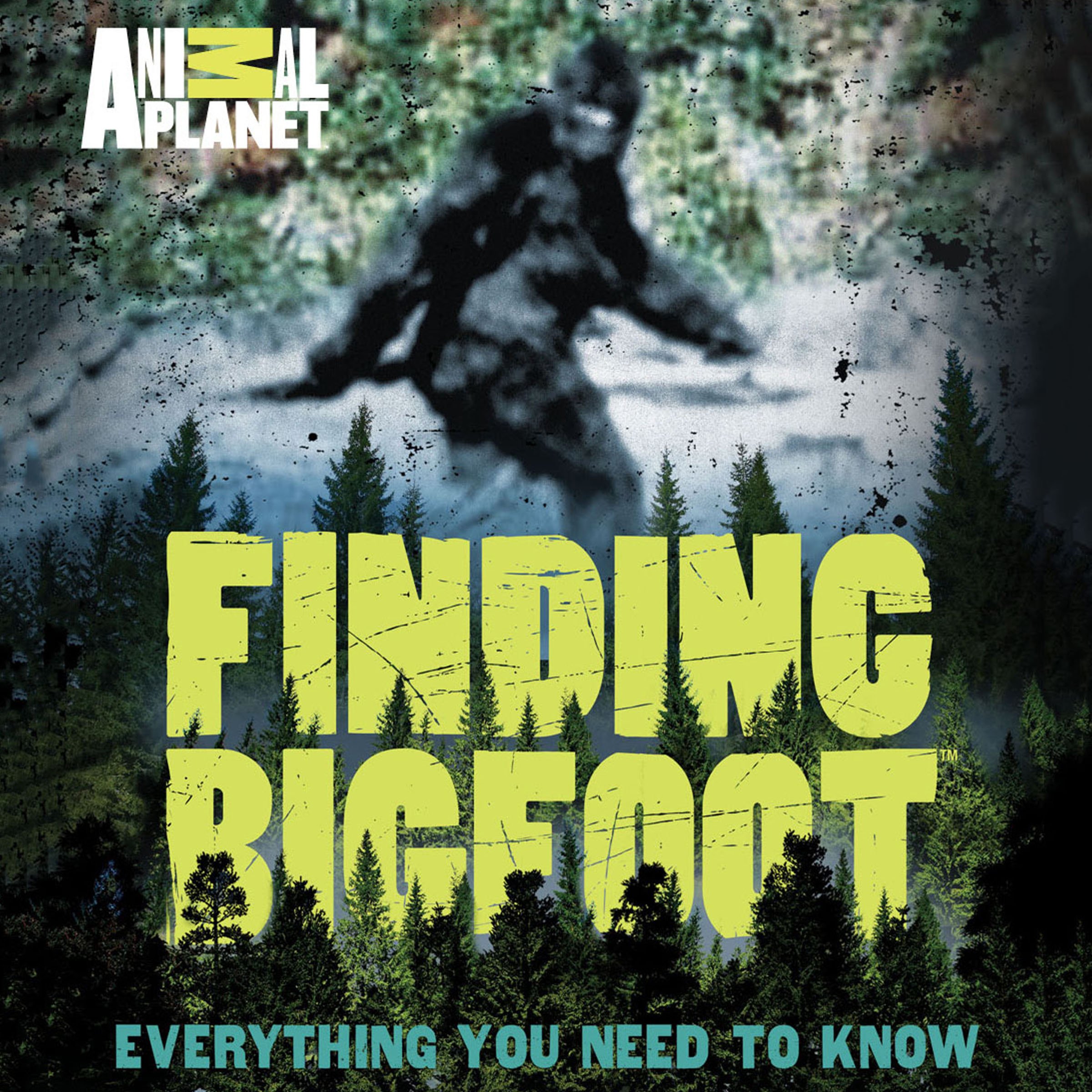 Algopix Similar Product 14 - Finding Bigfoot Everything You Need to