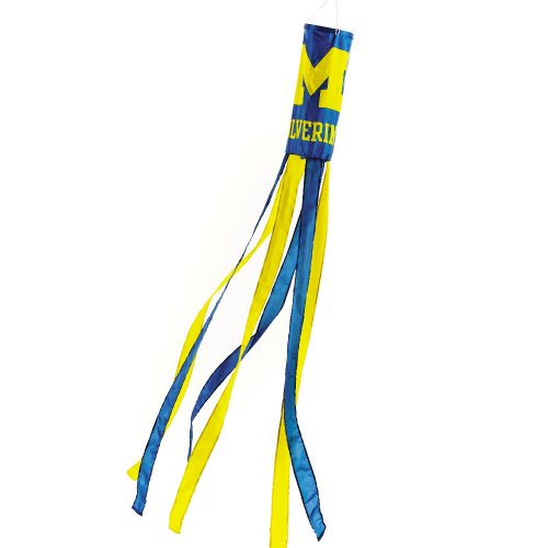 Algopix Similar Product 14 - NCAA Michigan Wolverines Wind Sock