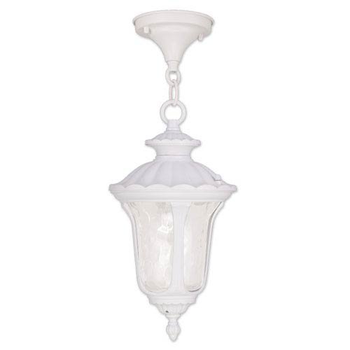 Algopix Similar Product 9 - Livex Oxford 7849 Outdoor Hanging