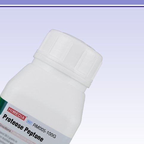 Algopix Similar Product 15 - HiMedia RM005100G Proteose Peptone