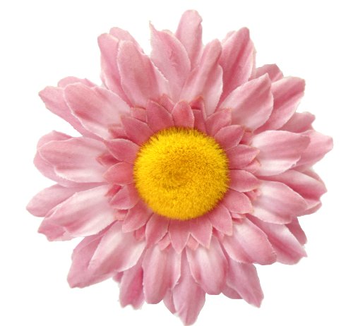 Algopix Similar Product 5 - Cuteque International Inc 6 pieces of